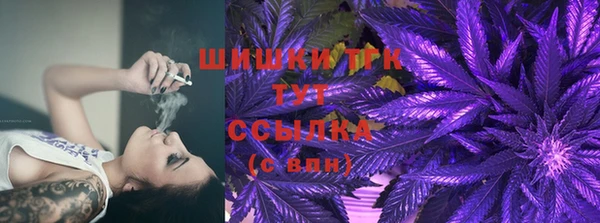 спиды Михайлов