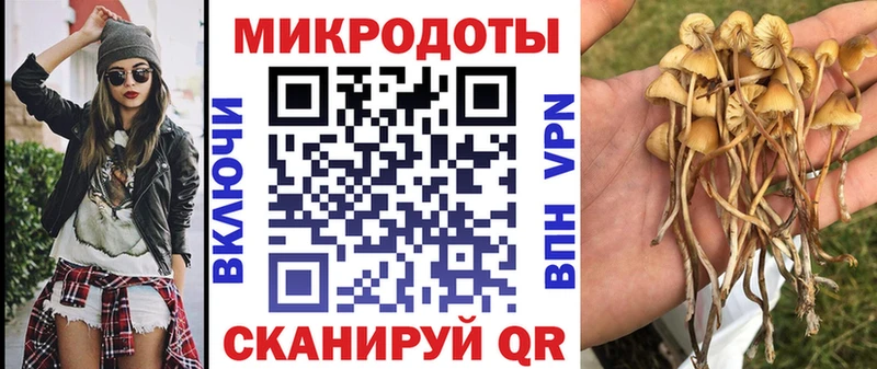 где можно купить   Реж  blacksprut tor  Псилоцибиновые грибы Psilocybe 