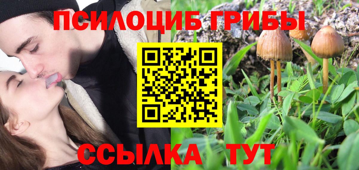 Псилоцибиновые грибы Psilocybe  Вход с VPN  Реж  Галлюциногенные грибы ЛСД 